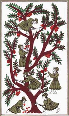 Medieval Tree of Life